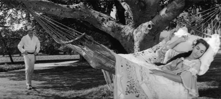 Dans le film classique portugais O Primo Basílio, Le cousin Brasílio, où elle chante et apparaît au début